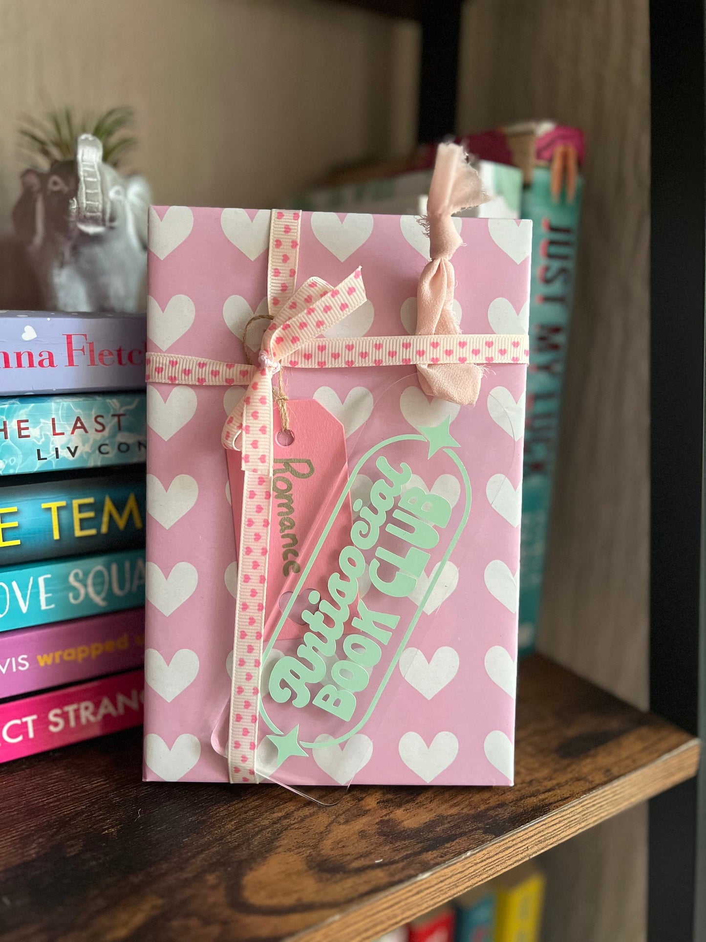 Romance Lovers Mystery Book Gift